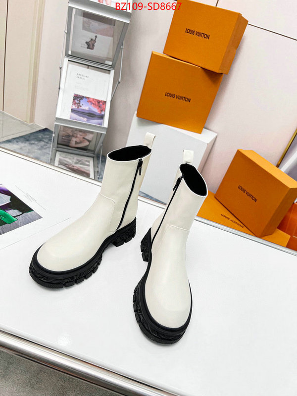 Women Shoes-LV,1:1 clone , ID: SD8667,$: 109USD