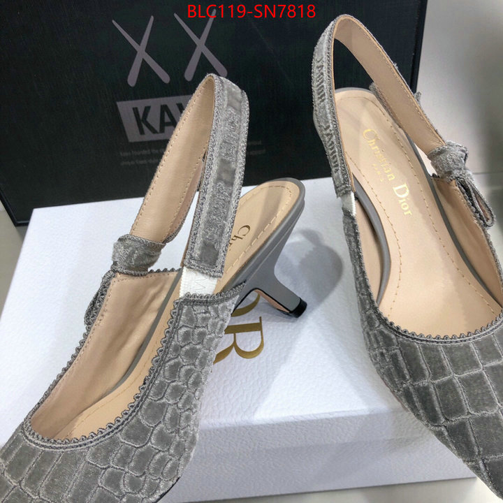 Women Shoes-Dior,aaaaa+ quality replica , ID: SN7818,$: 119USD