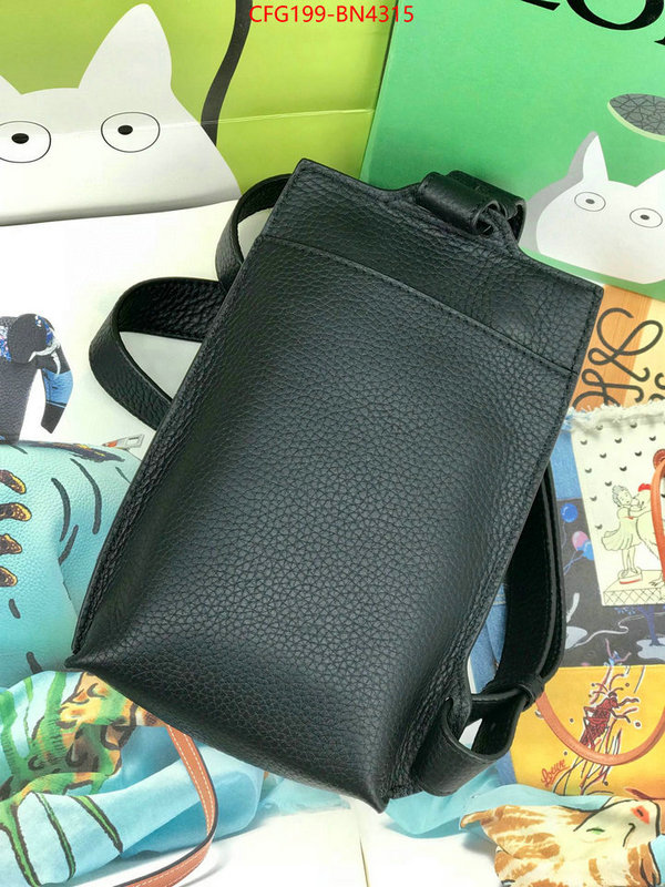 Loewe Bags(TOP)-Diagonal-,cheap replica designer ,ID: BN4315,$: 199USD