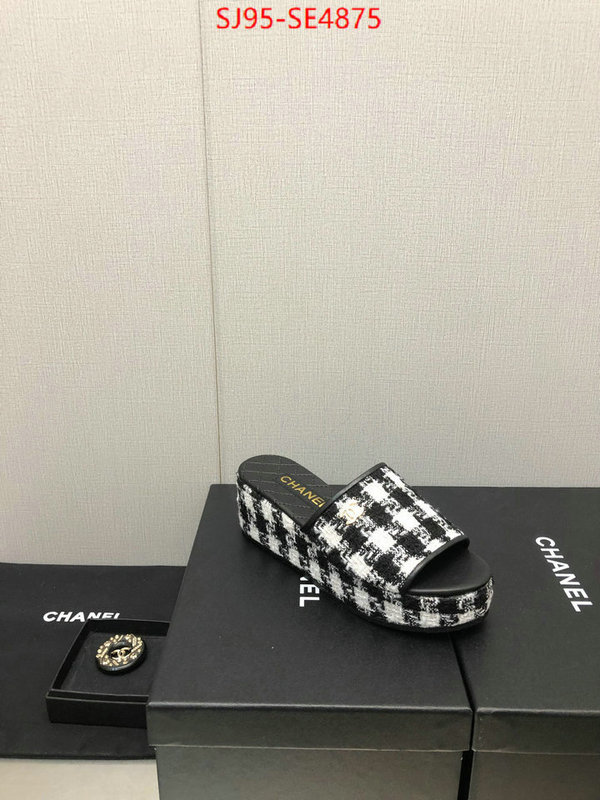 Women Shoes-Chanel,replica us , ID: SE4875,$: 95USD