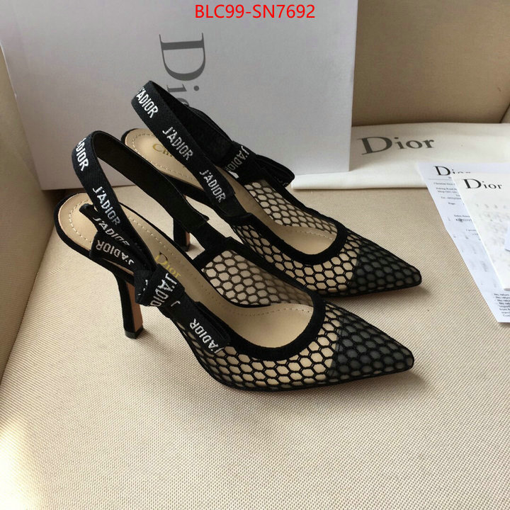 Women Shoes-Dior,top , ID: SN7692,$: 99USD