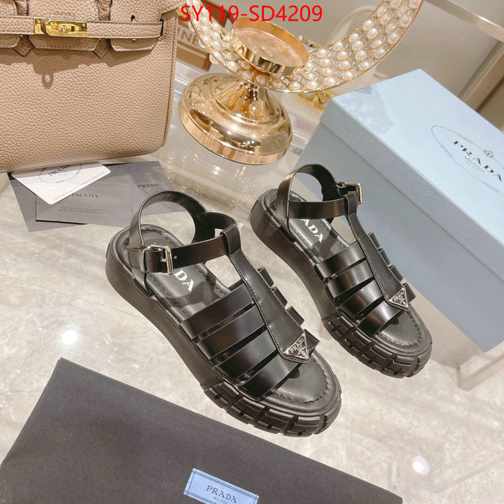 Women Shoes-Prada,fashion designer , ID: SD4209,$: 119USD