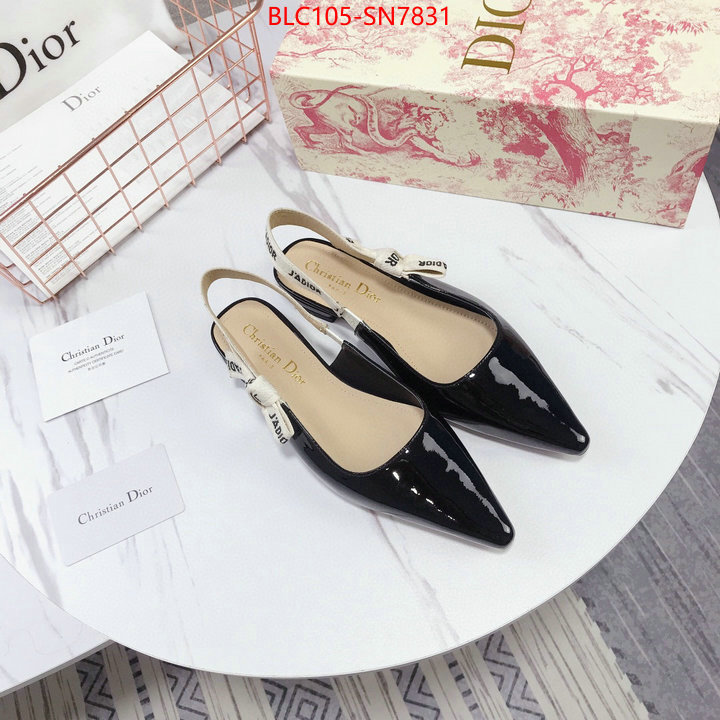 Women Shoes-Dior,aaaaa customize , ID: SN7831,$: 105USD