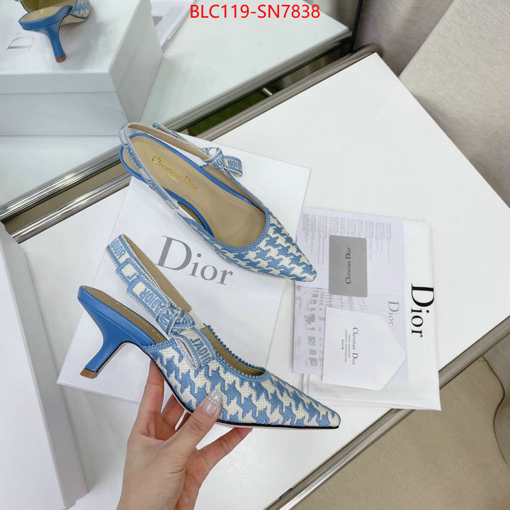 Women Shoes-Dior,can i buy replica , ID: SN7838,$: 119USD