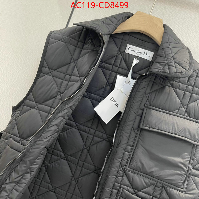 Down jacket Women-Dior,china sale , ID: CD8499,$: 119USD