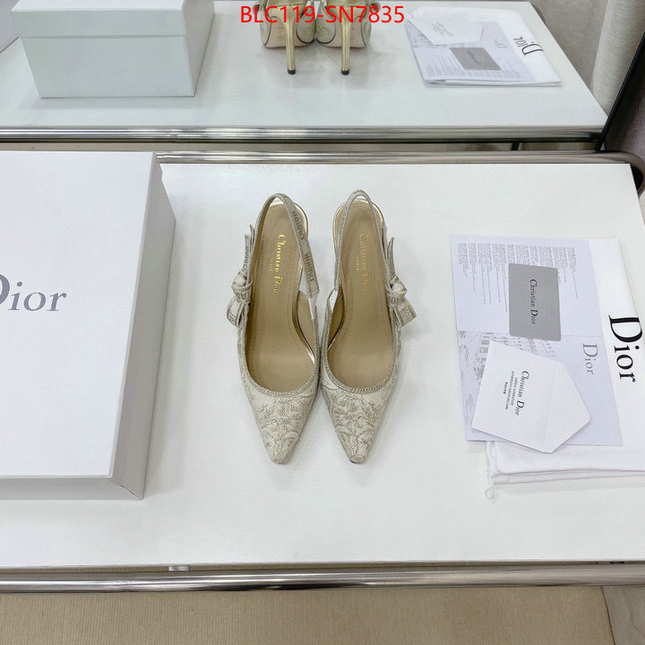 Women Shoes-Dior,styles & where to buy , ID: SN7835,$: 119USD