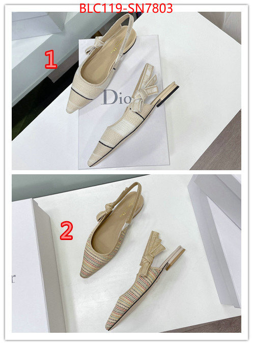 Women Shoes-Dior,replica designer , ID: SN7803,$: 119USD