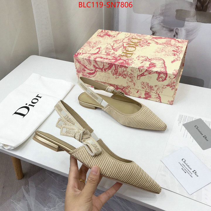 Women Shoes-Dior,how to find replica shop , ID: SN7806,$: 119USD