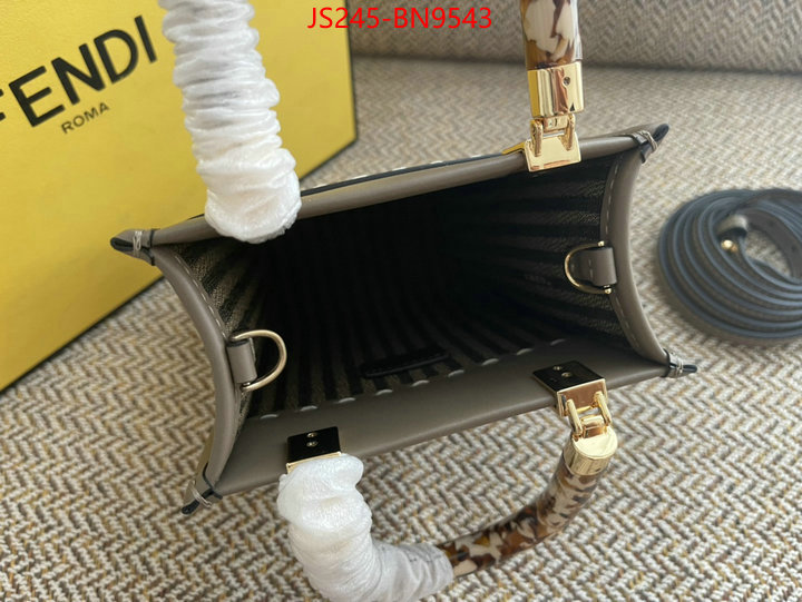 Fendi Bags(TOP)-Sunshine-,best site for replica ,ID: BN9543,$: 245USD