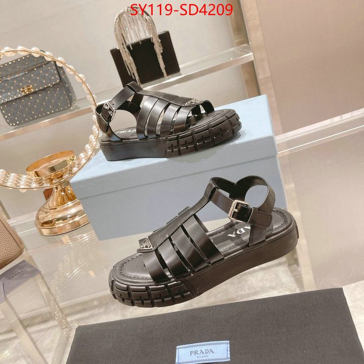 Women Shoes-Prada,fashion designer , ID: SD4209,$: 119USD