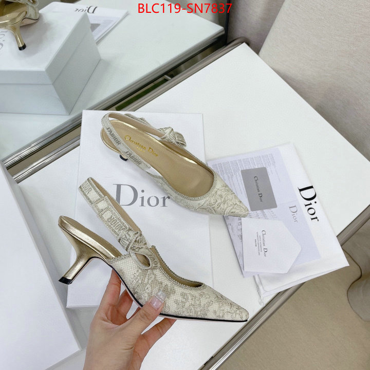 Women Shoes-Dior,replicas , ID: SN7837,$: 119USD