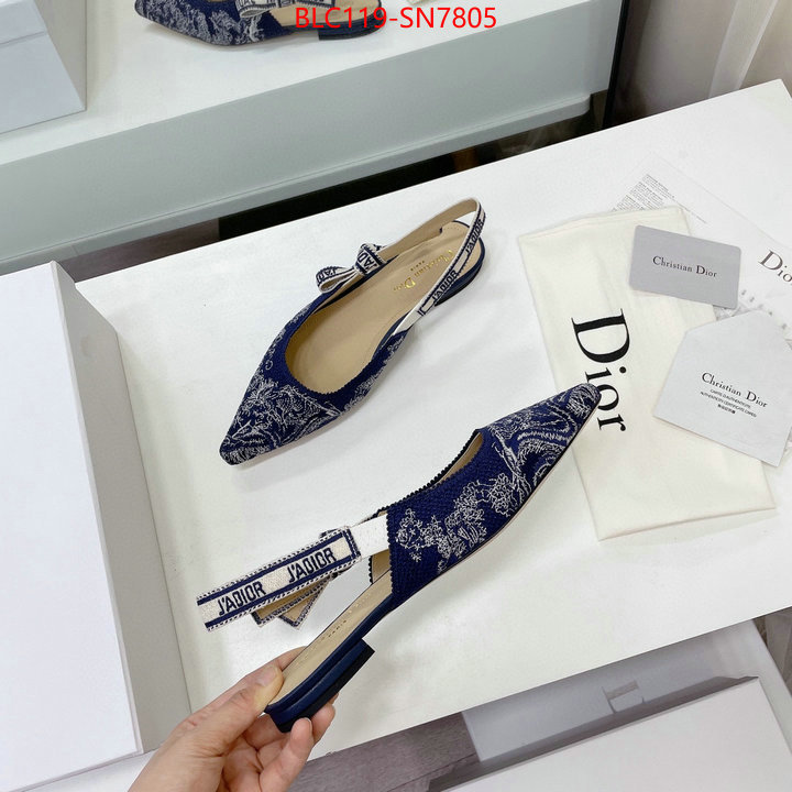 Women Shoes-Dior,the top ultimate knockoff , ID: SN7805,$: 119USD