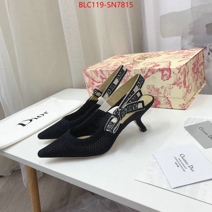 Women Shoes-Dior,shop cheap high quality 1:1 replica , ID: SN7815,$: 119USD