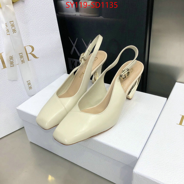 Women Shoes-Dior,customize the best replica , ID: SD1135,$: 119USD