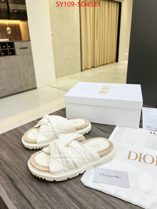 Women Shoes-Dior,perfect quality designer replica , ID: SD4581,$: 109USD