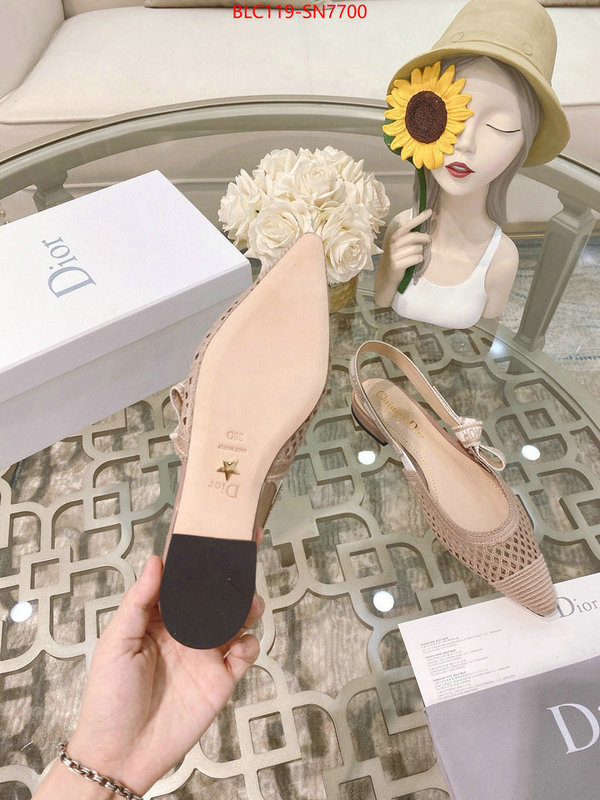 Women Shoes-Dior,sell online luxury designer , ID: SN7700,$: 119USD