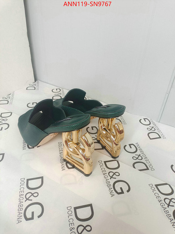 Women Shoes-DG,what's the best to buy replica , ID: SN9767,$: 119USD