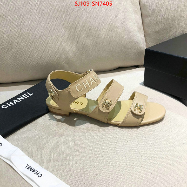 Women Shoes-Chanel,fake cheap best online , ID: SN7405,$: 109USD