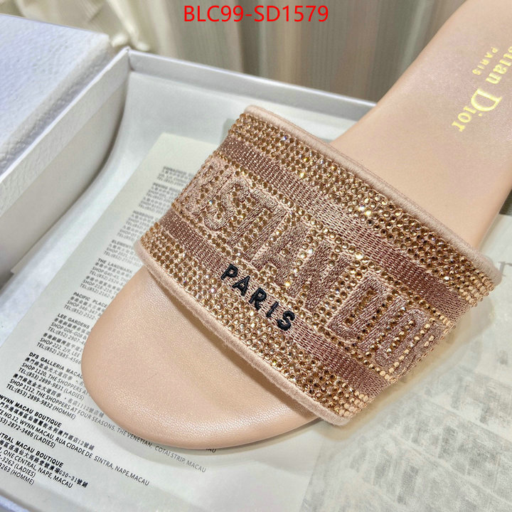 Women Shoes-Dior,buy aaaaa cheap , ID: SD1579,$: 99USD