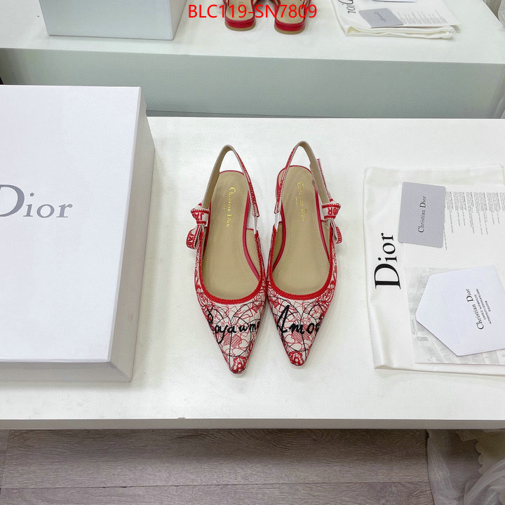 Women Shoes-Dior,designer wholesale replica , ID: SN7809,$: 119USD