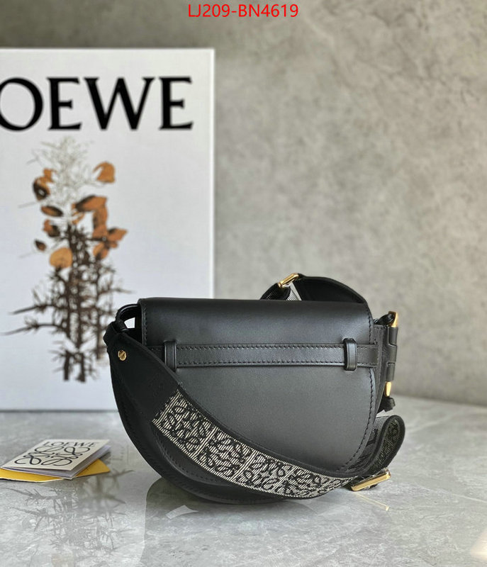 Loewe Bags(TOP)-Diagonal-,replica 1:1 high quality ,ID: BN4619,$: 209USD