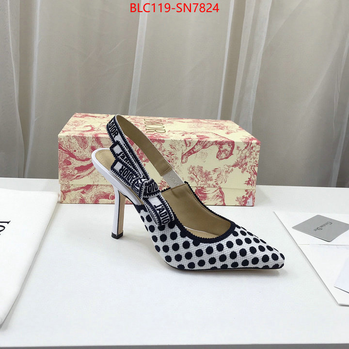 Women Shoes-Dior,online from china designer , ID: SN7824,$: 119USD