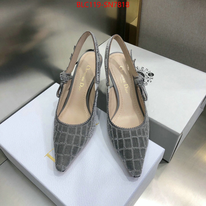 Women Shoes-Dior,aaaaa+ quality replica , ID: SN7818,$: 119USD