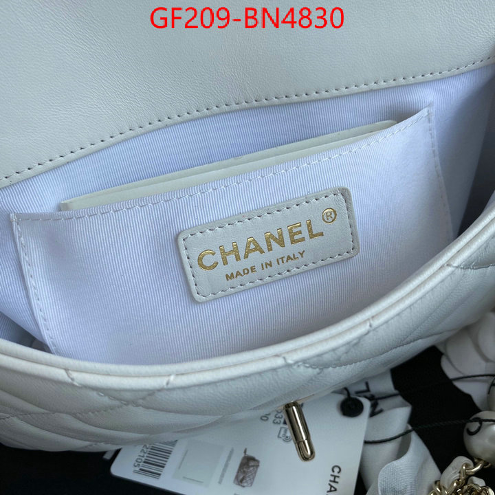 Chanel Bags(TOP)-Diagonal-,ID: BN4830,$: 209USD