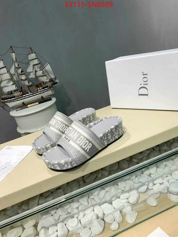 Women Shoes-Dior,sell online , ID: SN8509,$: 115USD