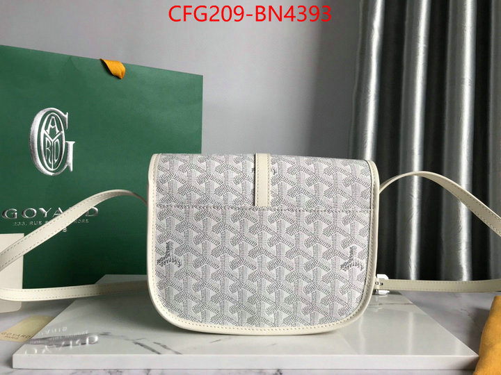 Goyard Bags(TOP)-Diagonal-,ID: BN4393,$: 209USD