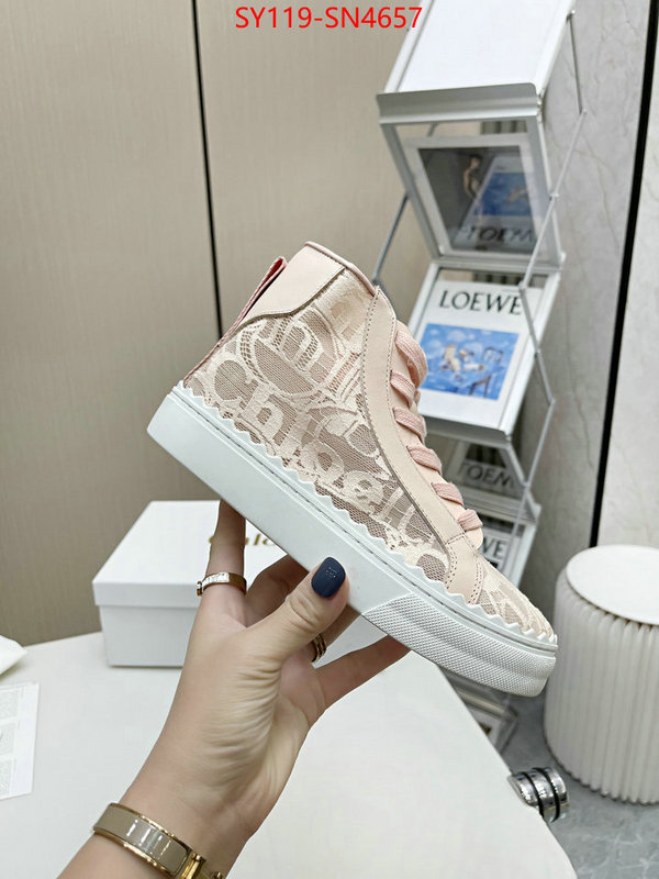 Women Shoes-Chloe,designer fake , ID: SN4657,$: 119USD