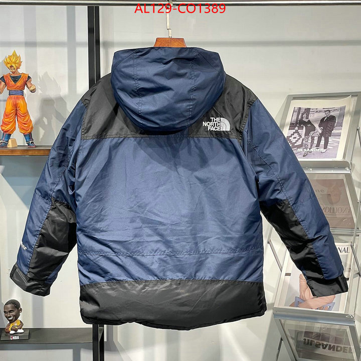 Down jacket Men-The North Face,wholesale sale , ID: CO1389,$: 175USD