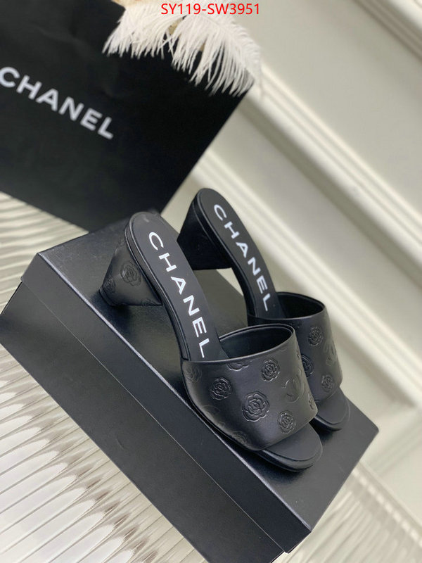 Women Shoes-Chanel,best site for replica , ID: SW3951,$: 119USD