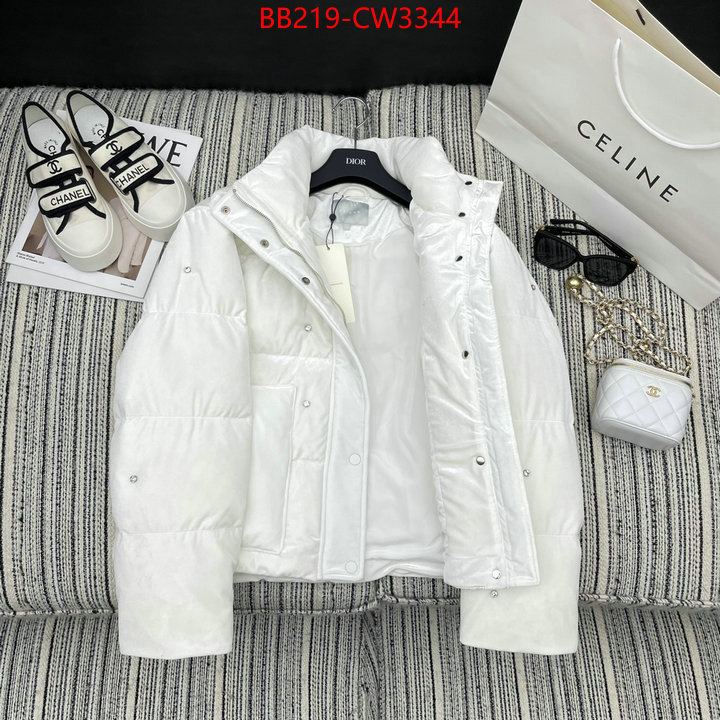 Down jacket Women-Celine,best wholesale replica , ID: CW3344,$: 219USD