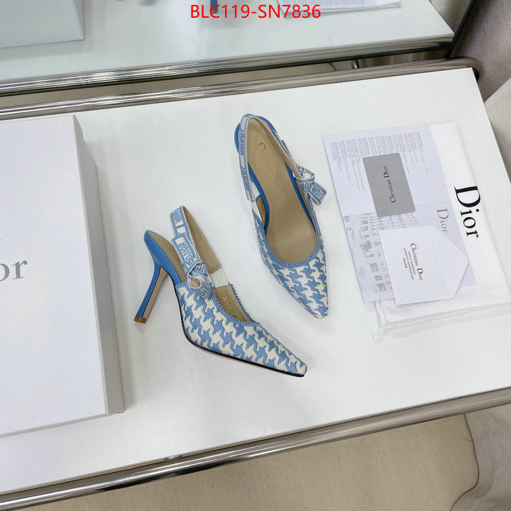 Women Shoes-Dior,what's the best to buy replica , ID: SN7836,$: 119USD