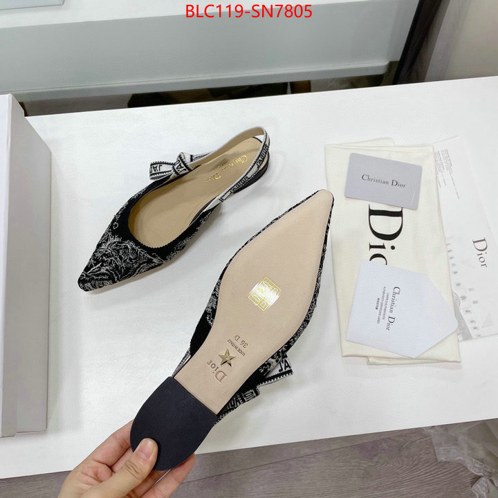 Women Shoes-Dior,the top ultimate knockoff , ID: SN7805,$: 119USD