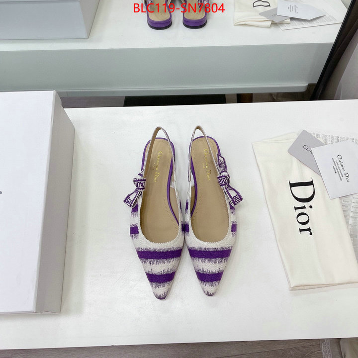 Women Shoes-Dior,wholesale designer shop , ID: SN7804,$: 119USD