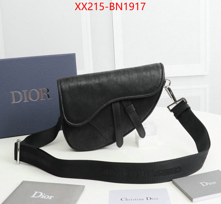 Dior Bags(TOP)-Saddle-,ID: BN1917,$: 215USD