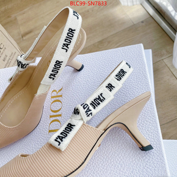 Women Shoes-Dior,replica 2023 perfect luxury , ID: SN7833,$: 99USD