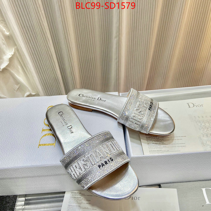 Women Shoes-Dior,buy aaaaa cheap , ID: SD1579,$: 99USD