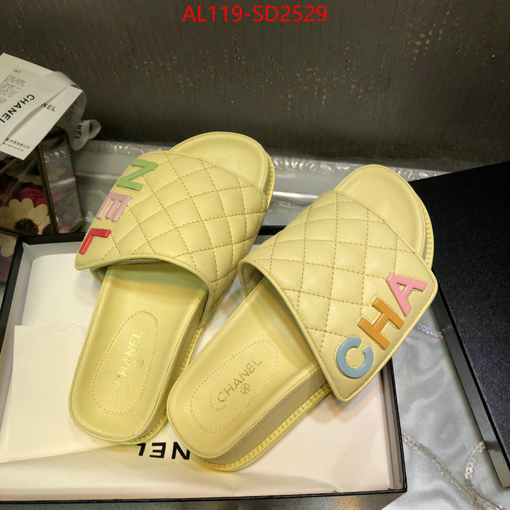 Women Shoes-Chanel,replicas , ID: SD2529,$: 119USD