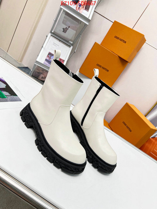 Women Shoes-LV,1:1 clone , ID: SD8667,$: 109USD