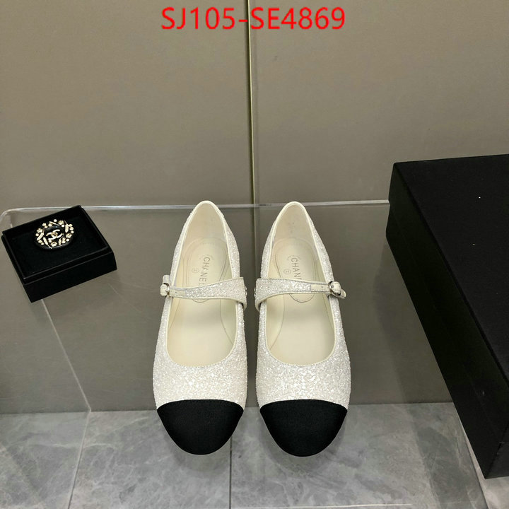 Women Shoes-Chanel,aaaaa quality replica , ID: SE4869,$: 105USD