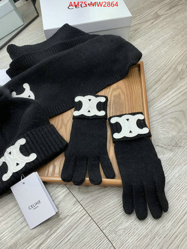 Gloves-CELINE,from china , ID: MW2864,$: 75USD