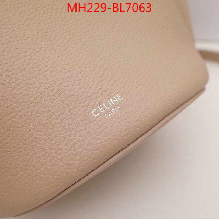 CELINE Bags(TOP)-Handbag,best capucines replica ,ID: BL7063,$: 229USD