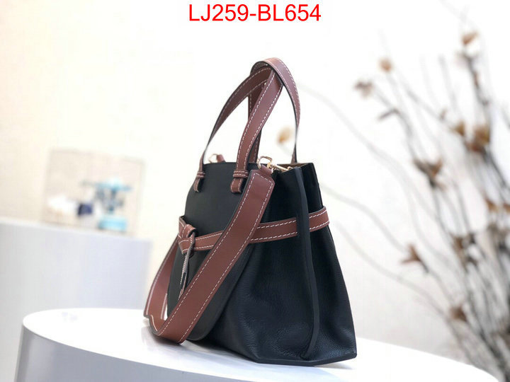 Loewe Bags(TOP)-Handbag-,replica aaaaa+ designer ,ID: BL654,$:259USD