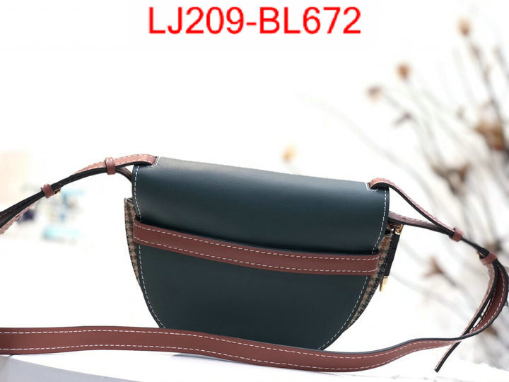 Loewe Bags(TOP)-Diagonal-,the best ,ID: BL672,$:209USD