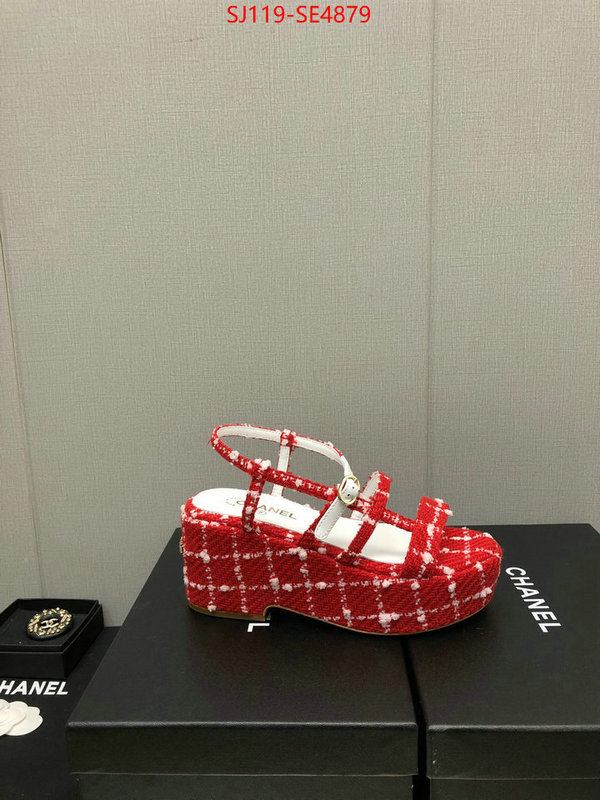 Women Shoes-Chanel,cheap replica designer , ID: SE4879,$: 119USD