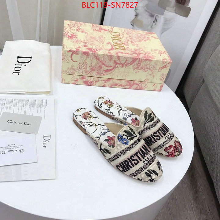 Women Shoes-Dior,wholesale china , ID: SN7827,$: 119USD