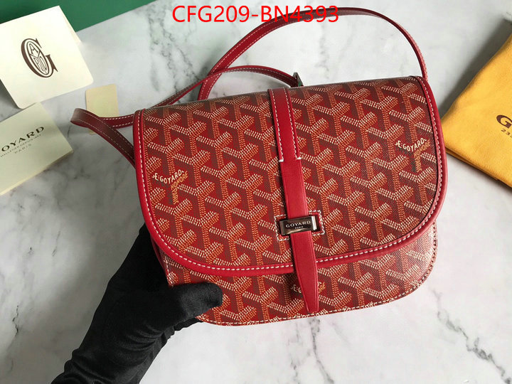 Goyard Bags(TOP)-Diagonal-,ID: BN4393,$: 209USD